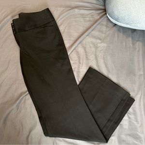 Editor Boot Cut Pant